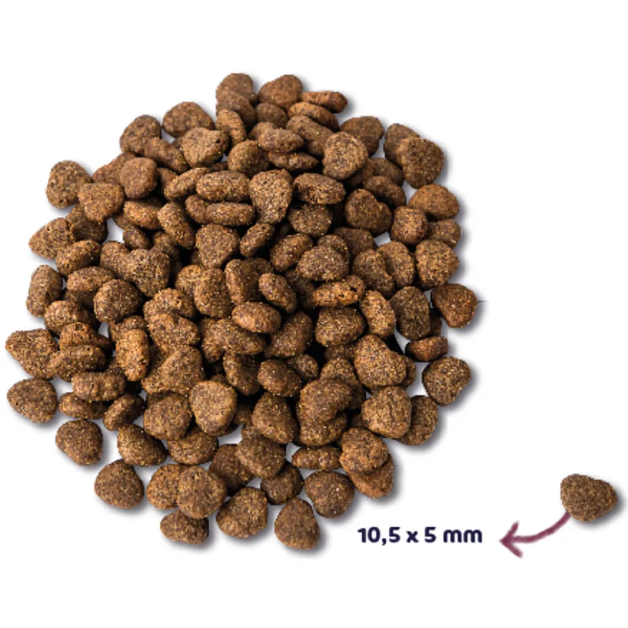 Renske Super Premium Adult kattenvoer kip 1,5 kg
