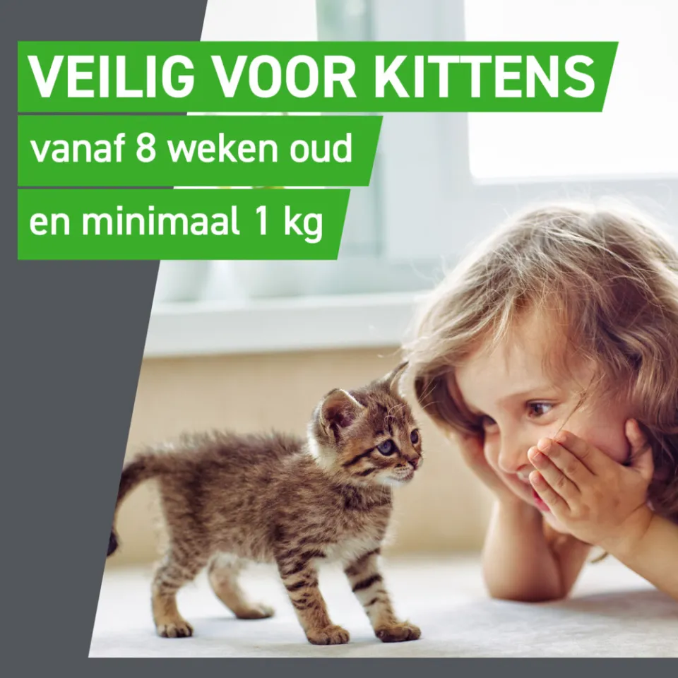 Frontline Combo spot-on vlooiendruppels kat, foto 5