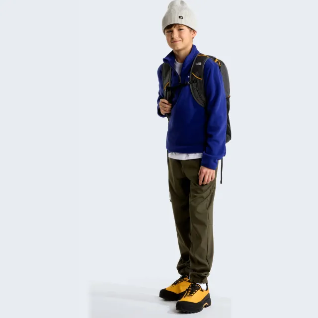 The North Face Glacier sweater - blauw Kobaltblauw