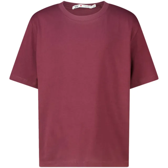 America Today t-shirt donkerrood