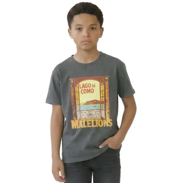 Malelions t-shirt grijs