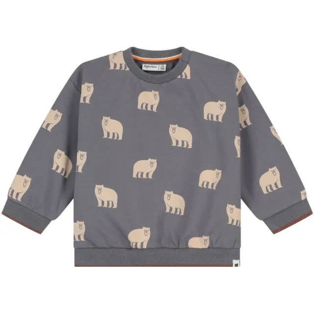 Babyface sweater met print - grijs/beige