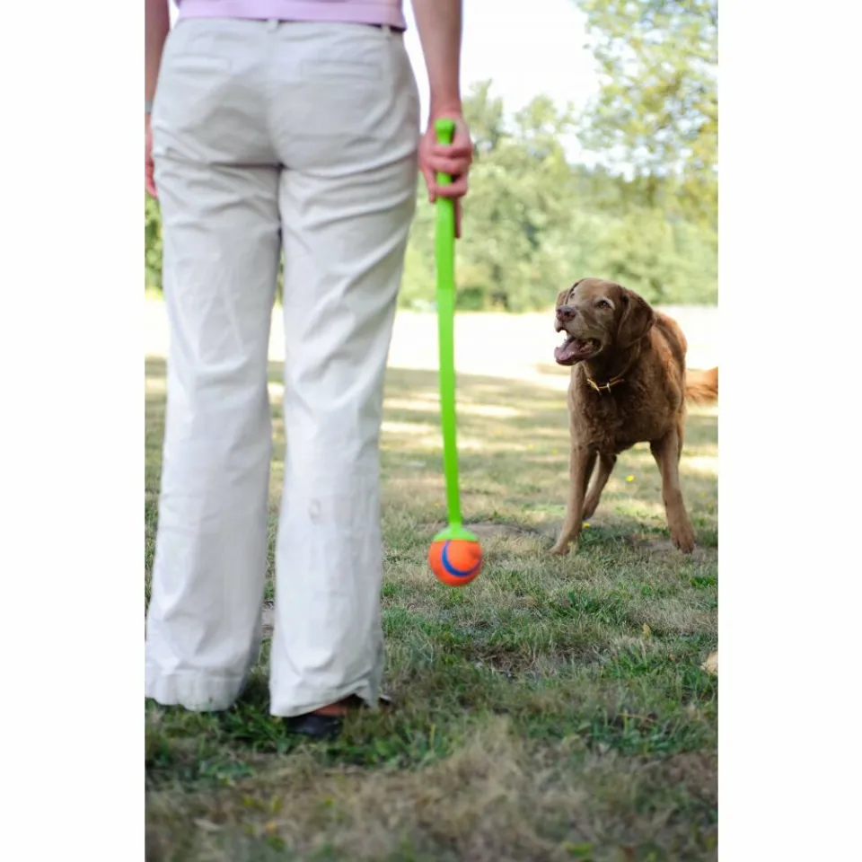 Chuckit Pro Ball Launcher Medium 63 cm wit/blauw, foto 5