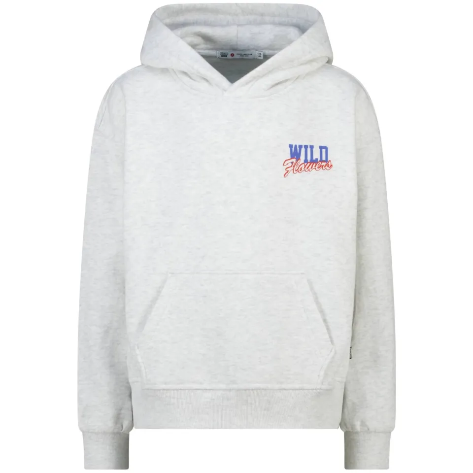 America Today hoodie met backprint - light grey, foto 2