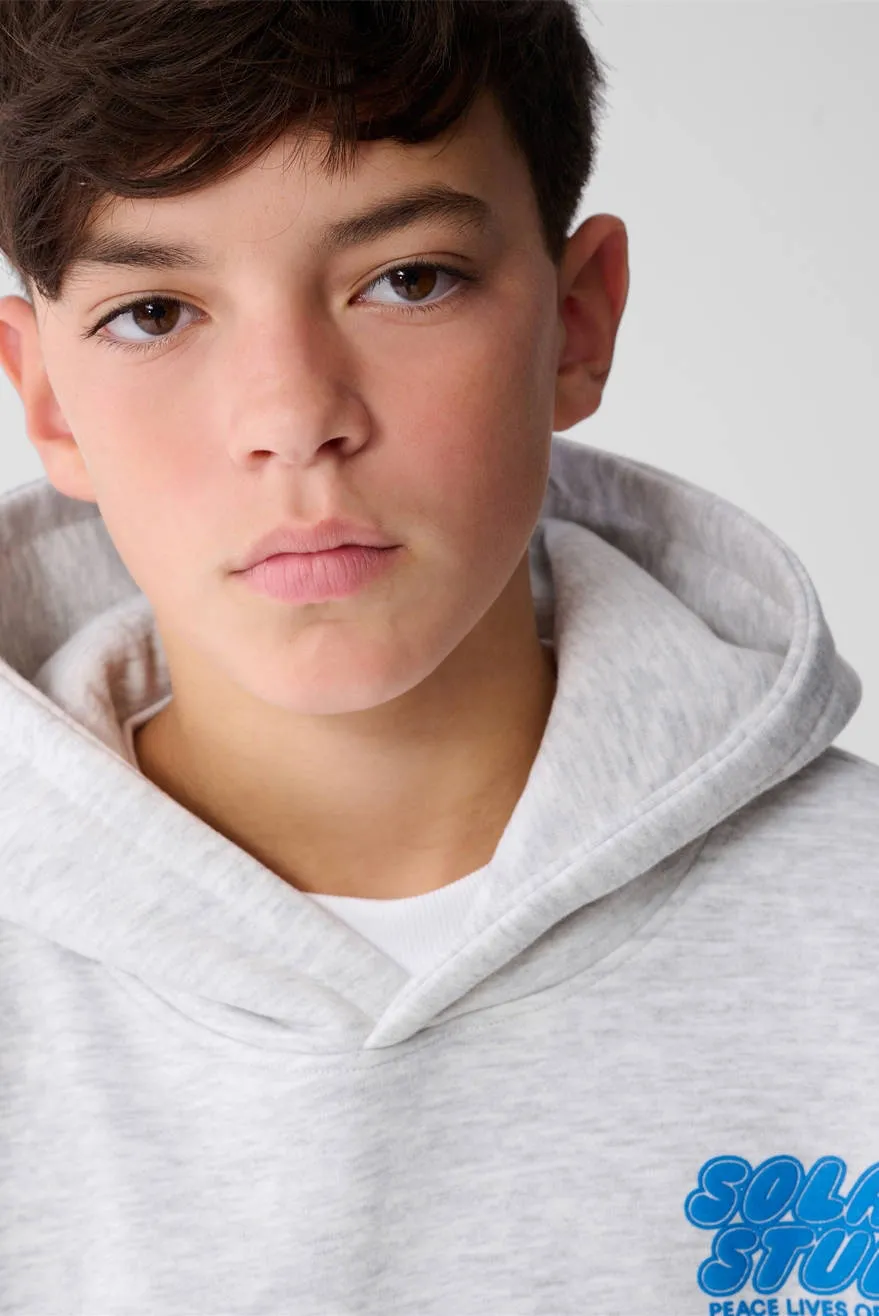 Shoeby hoodie met backprint grijs melange, foto 6