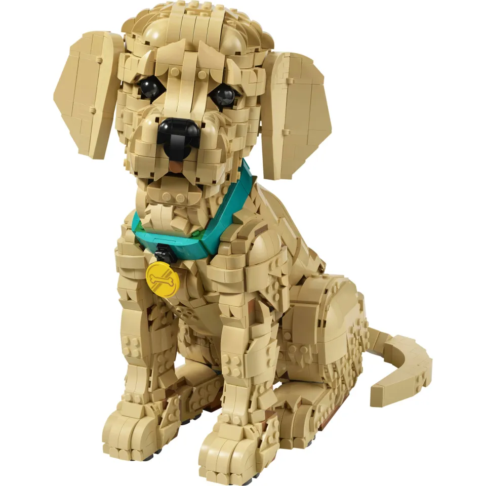 Lego Icons Golden Retriever Puppy Bouwpakket met Dieren Figuur 11384, foto 4