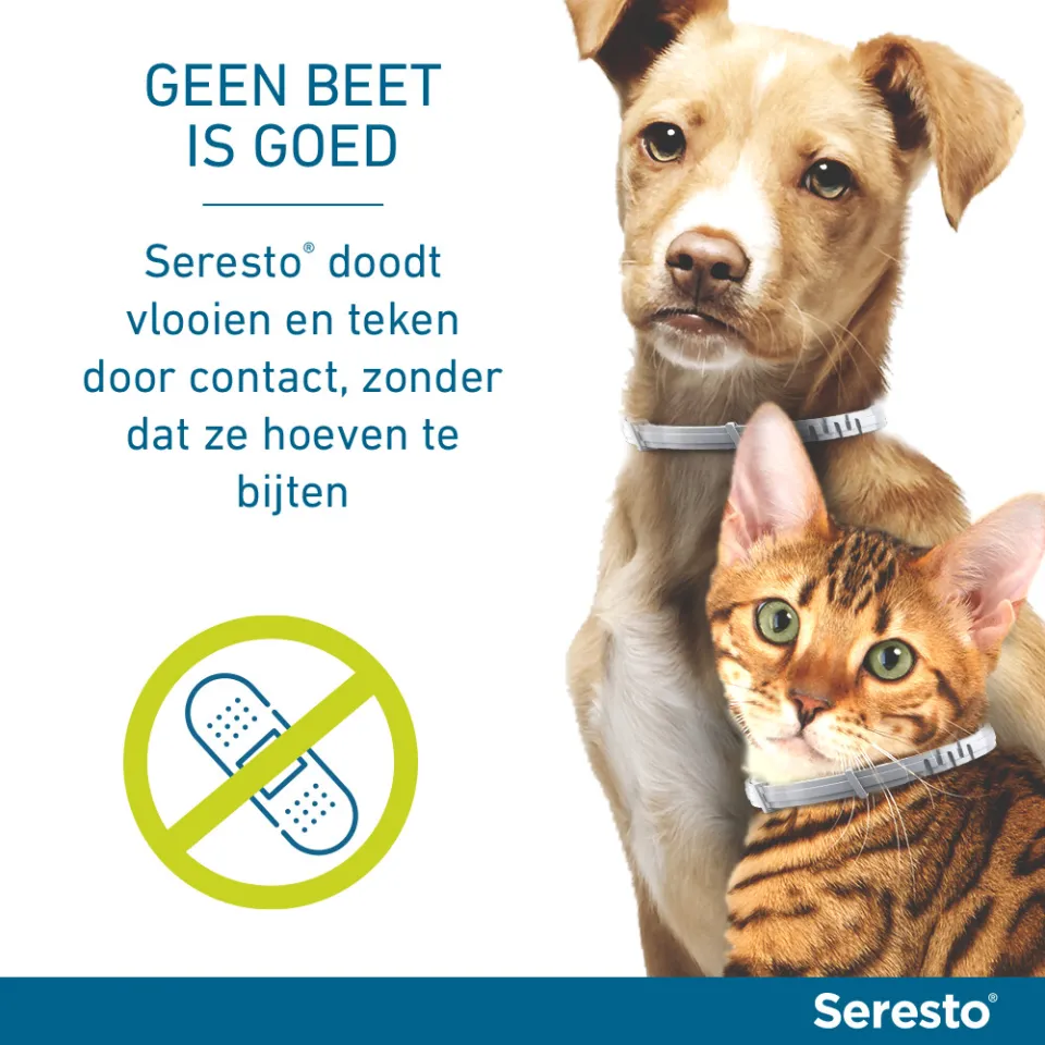 Seresto anti vlooien en teken halsband kat, foto 3