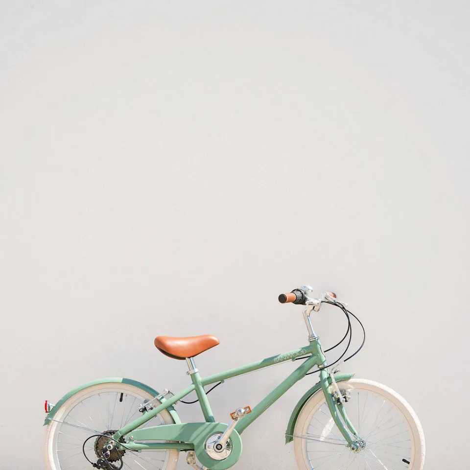 Banwood kinderfiets 20 inch forest groen, foto 6