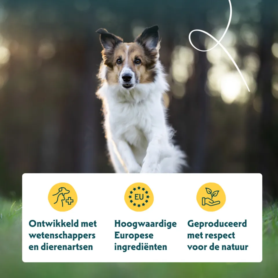 Yarrah biologisch sensitive hondenvoer kip 2 kg, foto 4