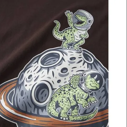 NAME IT longsleeve met space dinoprint bruin, foto 3