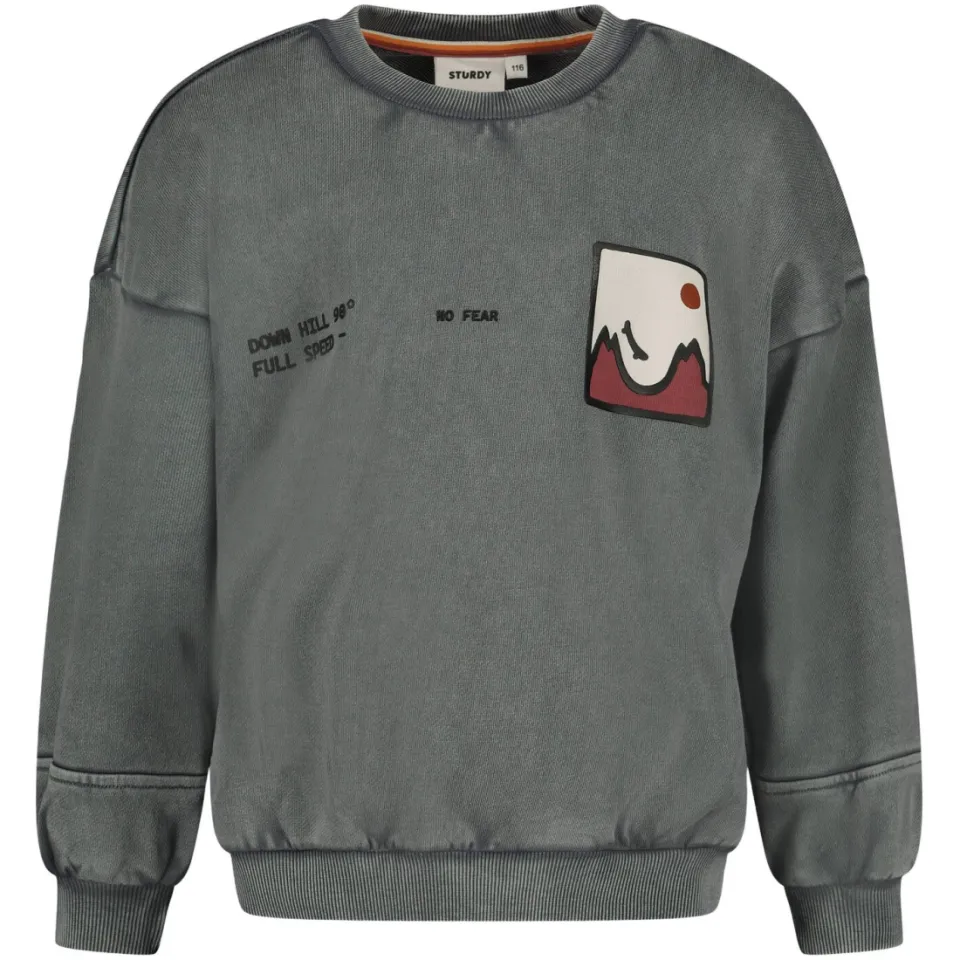 Sturdy oversized sweater Mountain top met backprint grijs/wit/oudroze, foto 2