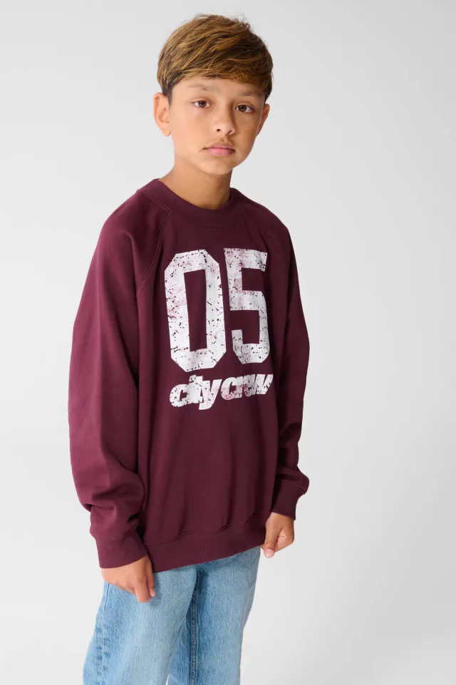 Shoeby sweater met print - donkerrood