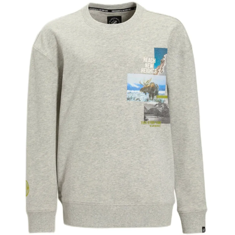 Me & My Monkey sweater grijs melange, foto 3