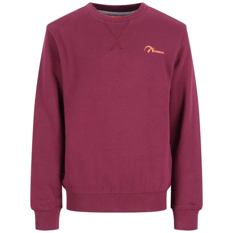 TYGO & vito sweater met backprint - donkerrood, foto 2