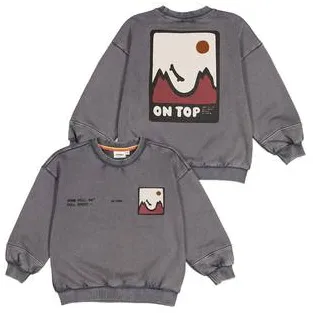 Sturdy oversized sweater Mountain top met backprint grijs/wit/oudroze, foto 3