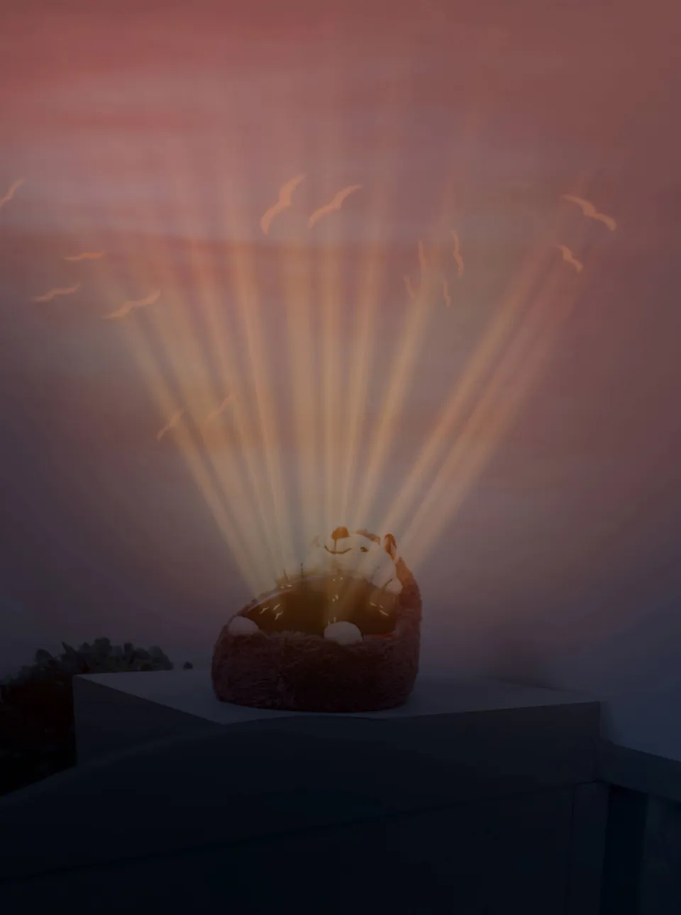 Zazu Sunset Projector Henry the hedgehog, foto 4