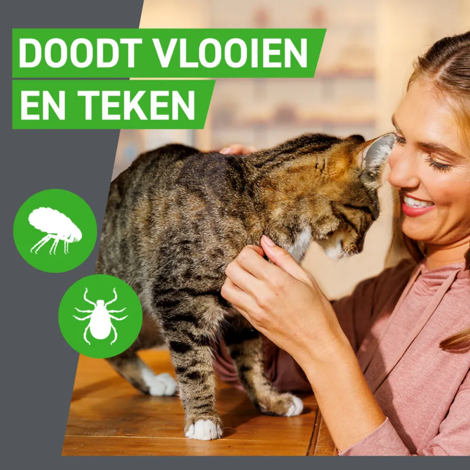 Frontline Combo spot-on vlooiendruppels kat, foto 2