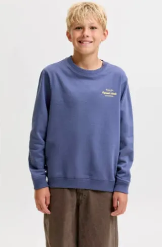 Jack & Jones JUNIOR sweater met backprint - blauw, foto 2