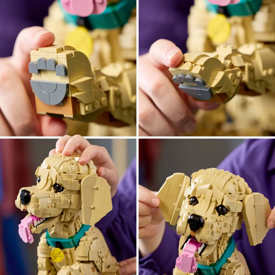 Lego Icons Golden Retriever Puppy Bouwpakket met Dieren Figuur 11384, foto 8