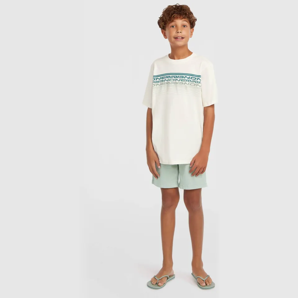 O'Neill T-shirt wit met print