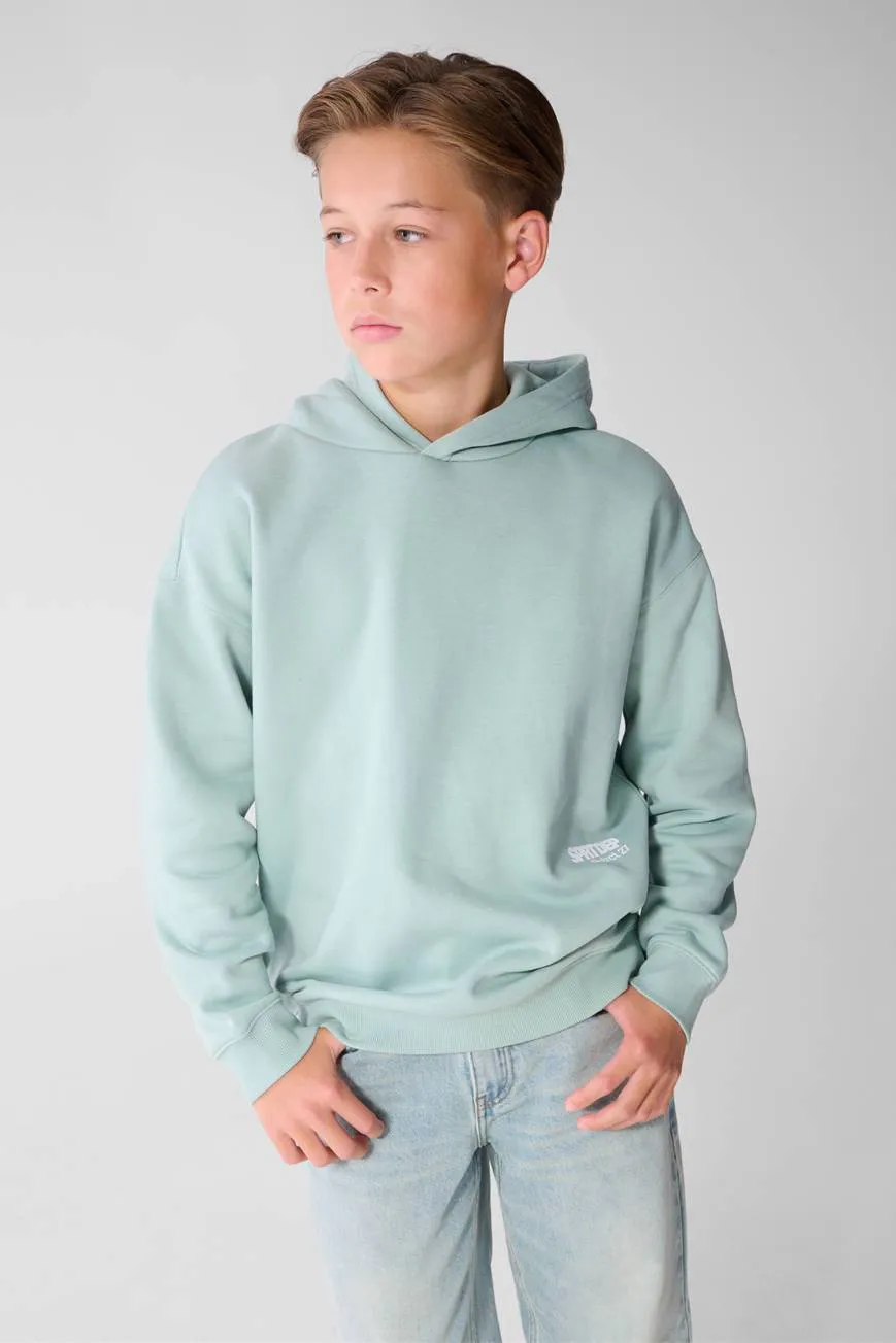 Shoeby hoodie - mintblauw, foto 6