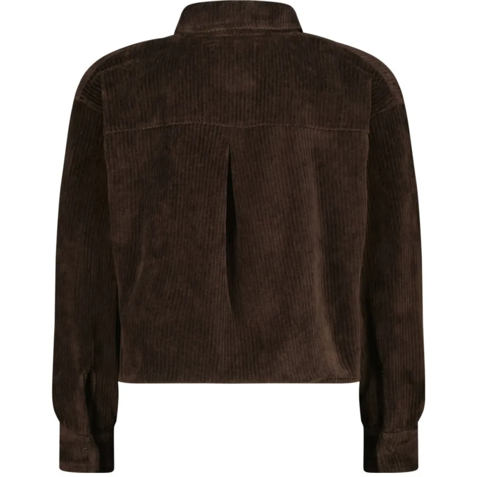 Raizzed corduroy broek bruin, foto 3