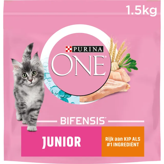 Purina ONE Junior droog kattenvoer met kip, foto 2