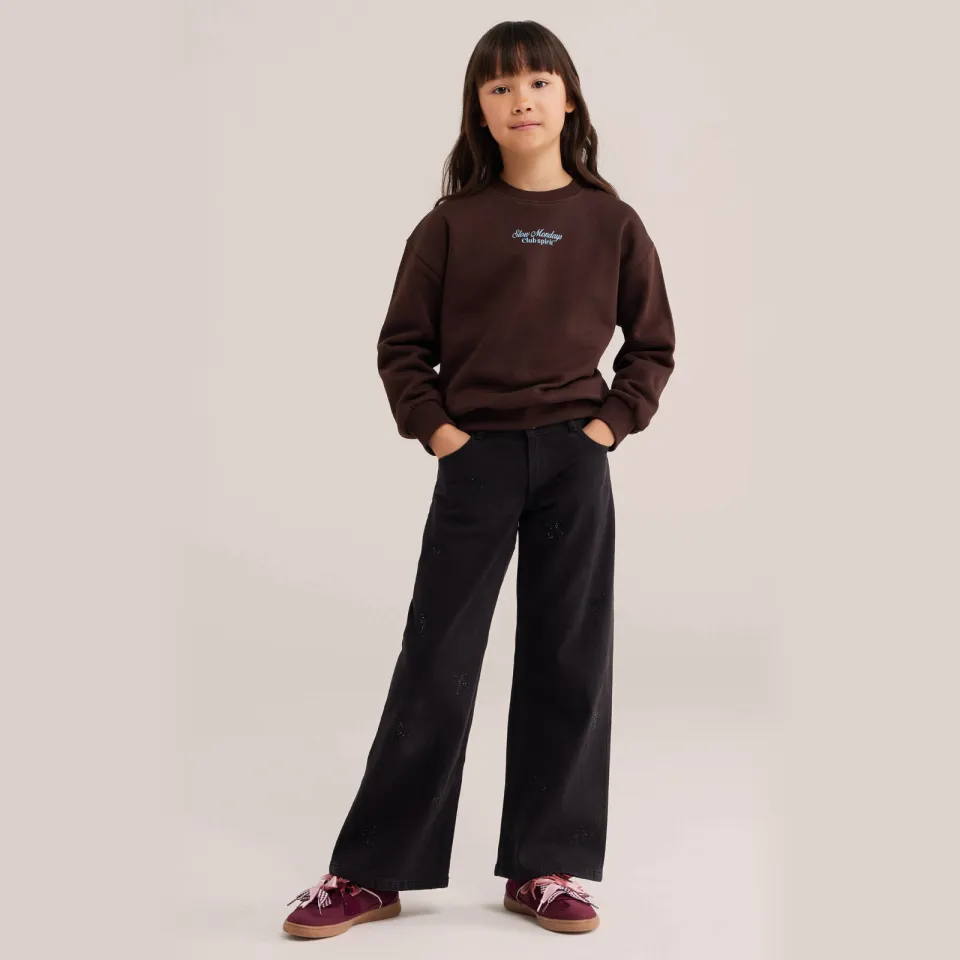 WE Fashion junior sweater met backprint - donkerbruin/lichtblauw