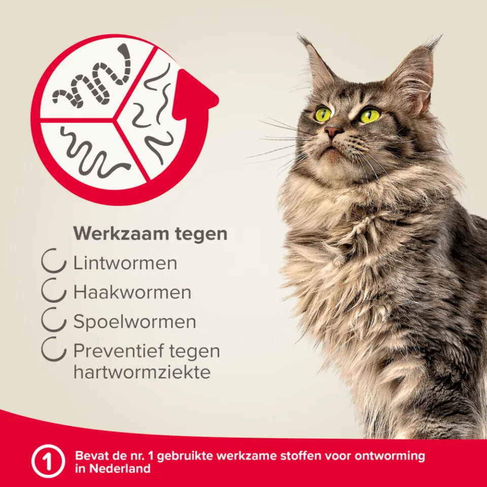 Beaphar Milquestra ontwormingsmiddel kat tabletten, foto 4