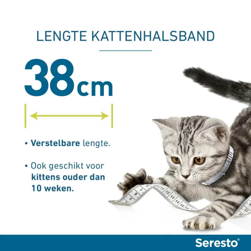 Seresto anti vlooien en tekenhalsband kat grijs, foto 4