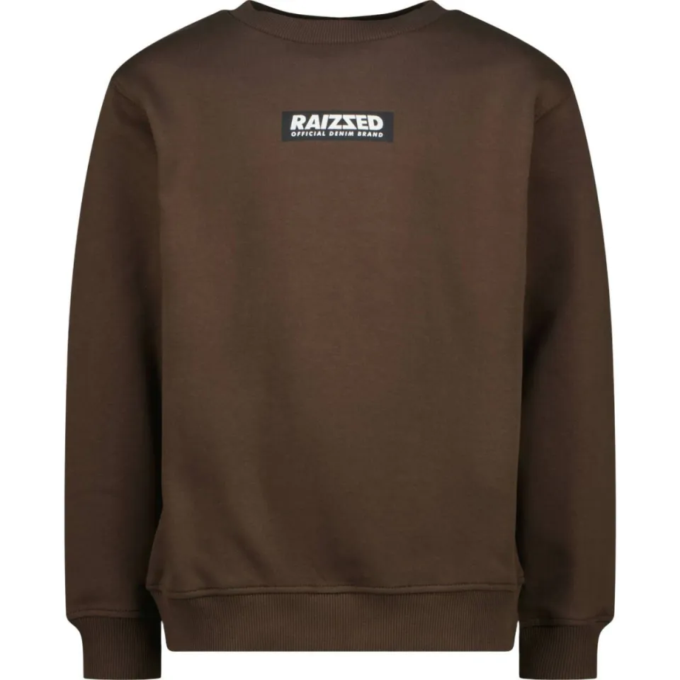 Raizzed rechtvallende sweater met logo - bruin, foto 2