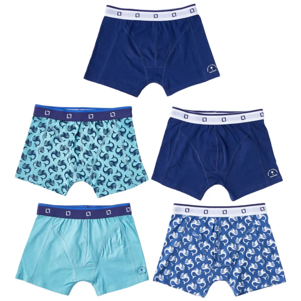 Little Label boxershort blauw set van 5, foto 2