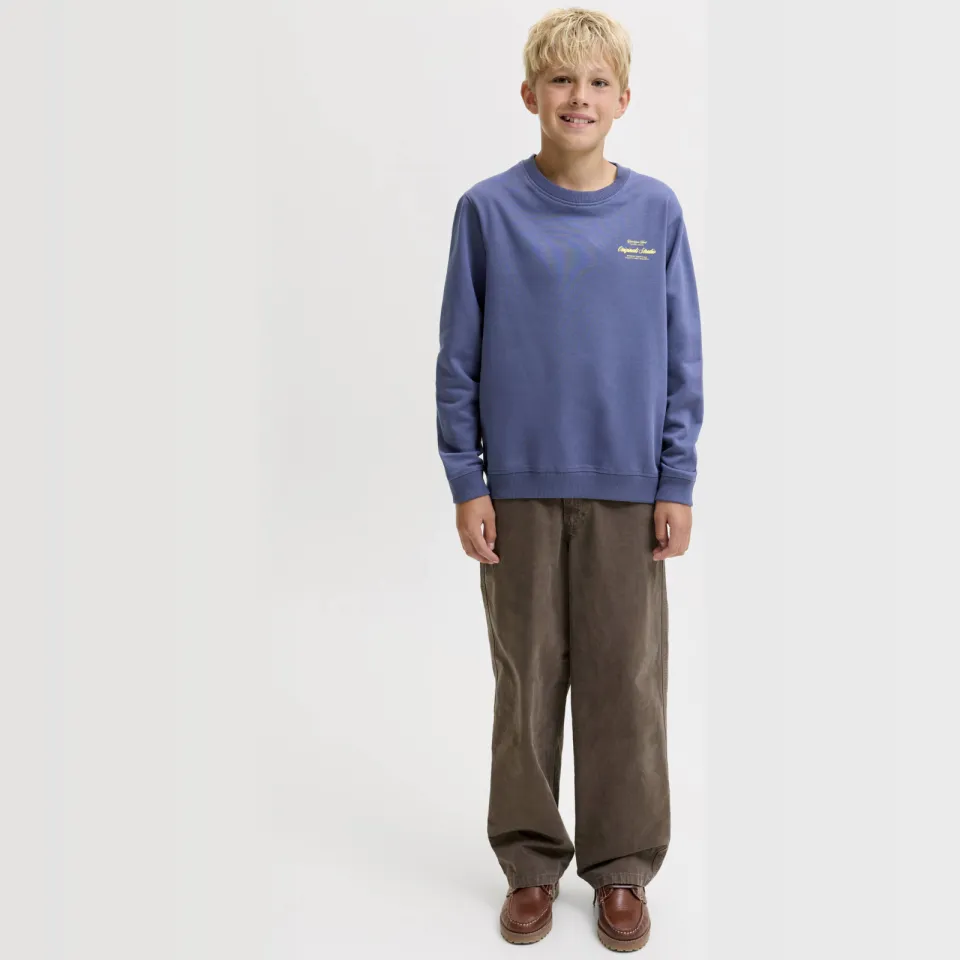 Jack & Jones JUNIOR sweater met backprint - blauw
