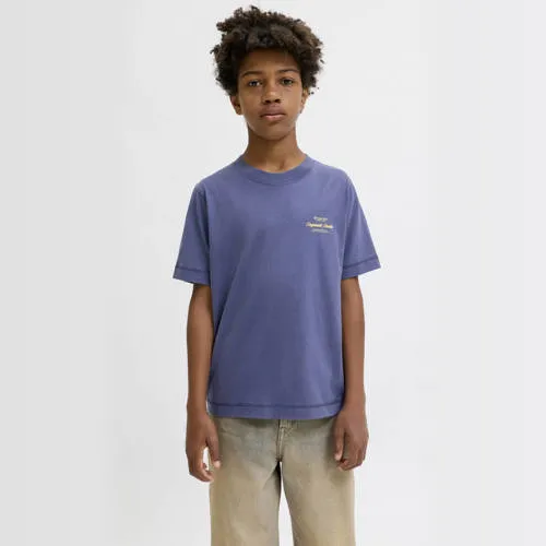 Jack & Jones JORNORREBRO T-shirt met print blauw, foto 2