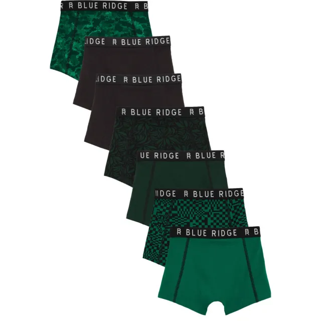 WE Fashion Blue Ridge boxershorts groen/zwart
