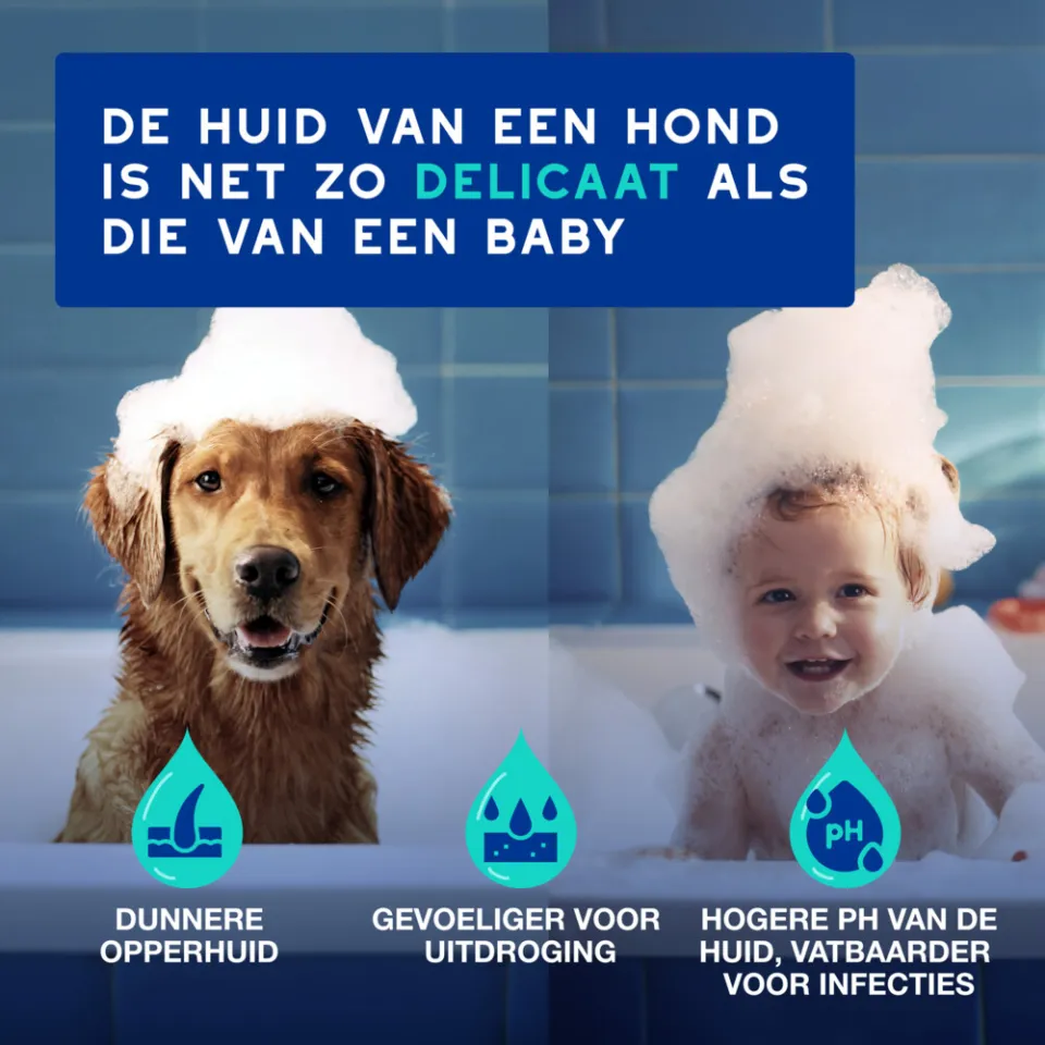 Douxo Spa anti-geur hondenshampoo, foto 4