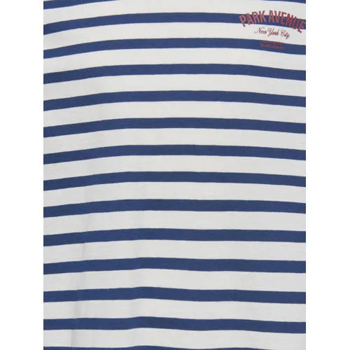 Only gestreepte longsleeve blauw wit, foto 5