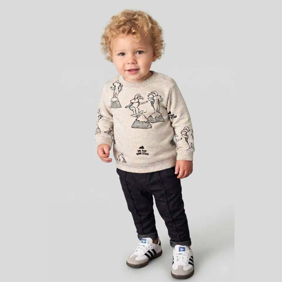 Feetje sweater Mountain Top - ecru/grijs