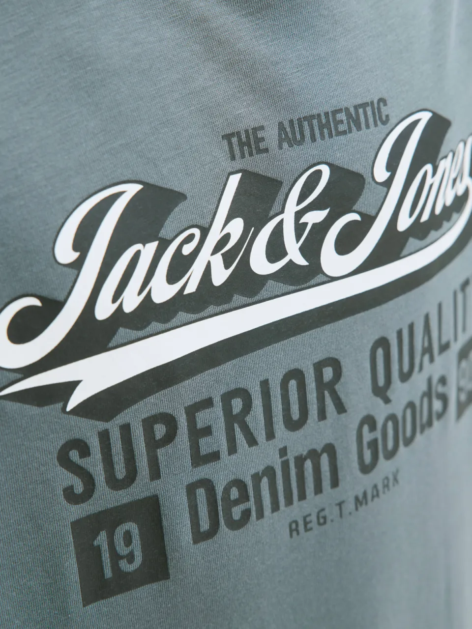 Jack & Jones JJELOGO t-shirt grijsblauw, foto 7
