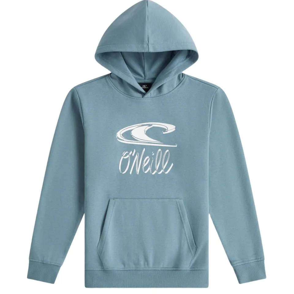 O'Neill hoodie met logo - lichtblauw, foto 3