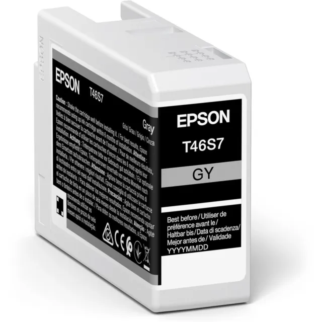Epson T46S7, Grijs