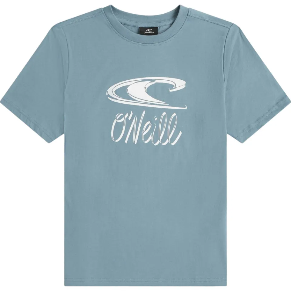 O'Neill T-shirt lichtblauw met logo, foto 2