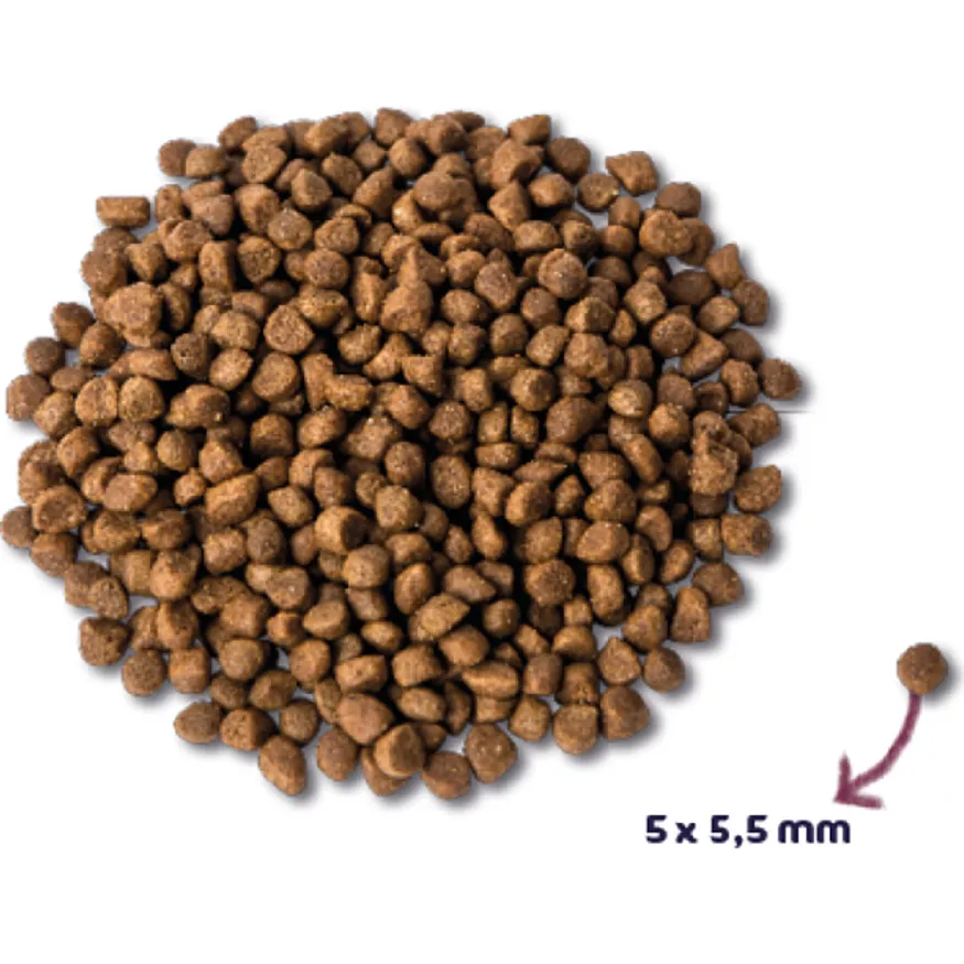 Renske Super Premium Kitten kattenvoer kalkoen & kip 6 kg, foto 2