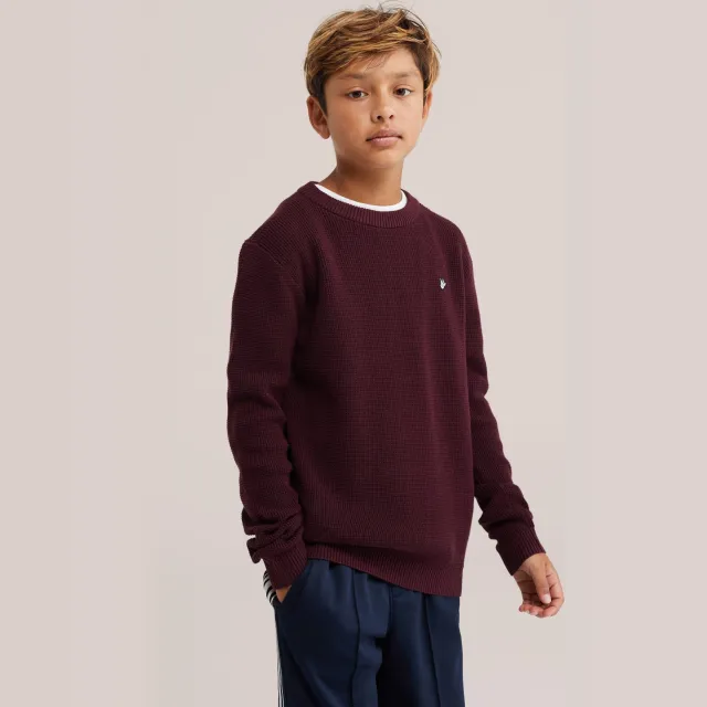 WE Fashion katoenen gebreide trui - donkerrood Wild Plum