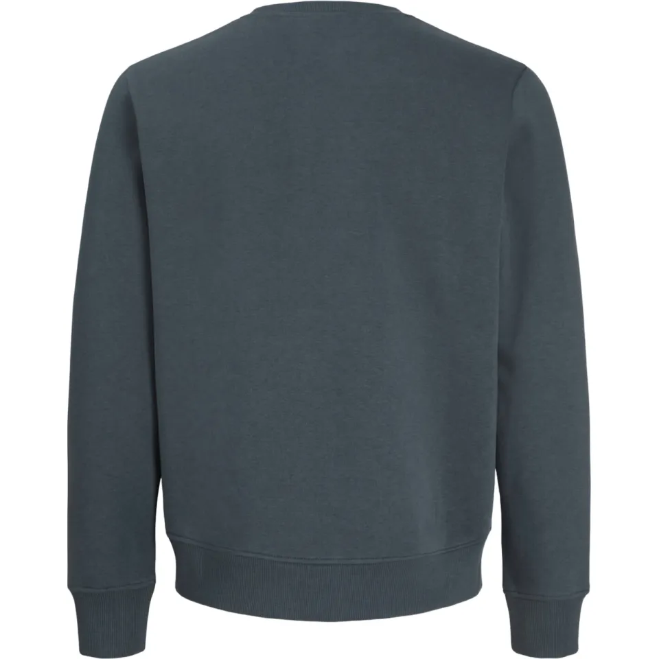 Jack & Jones JUNIOR sweater met tekst - grijsblauw, foto 4