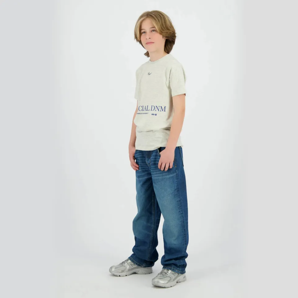 Raizzed T-shirt lichtgrijs Lichtgrijs melange
