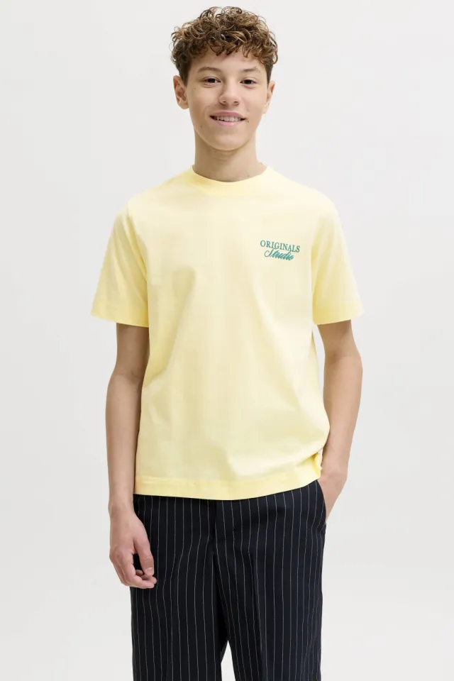 Jack & Jones JORNORREBRO T-shirt lichtgeel