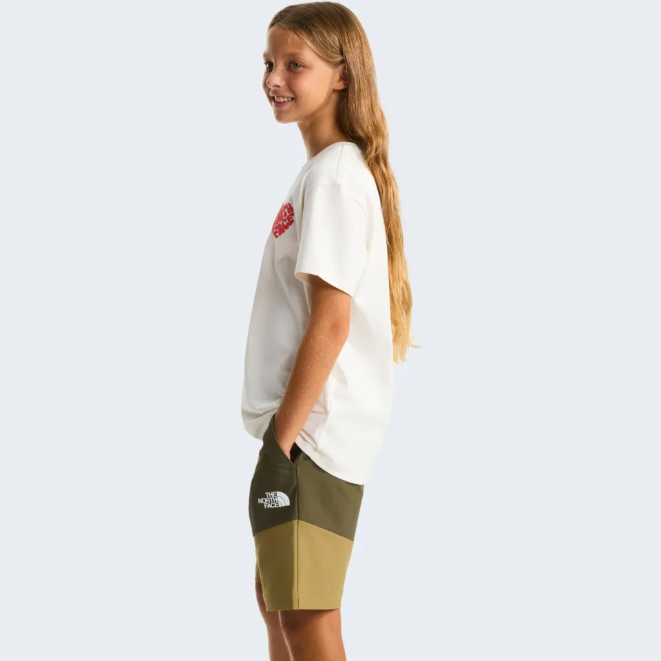The North Face Brand Proud t-shirt wit, foto 6