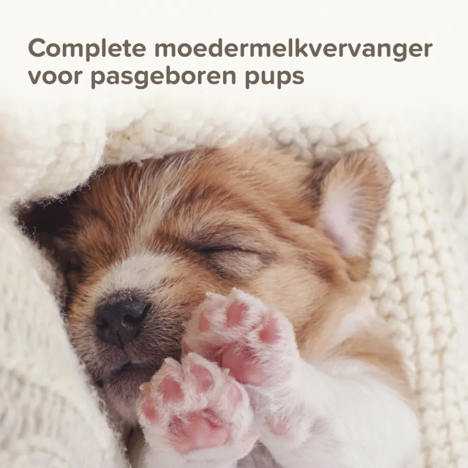 Beaphar Lactol Melk Puppy 1 kg, foto 2