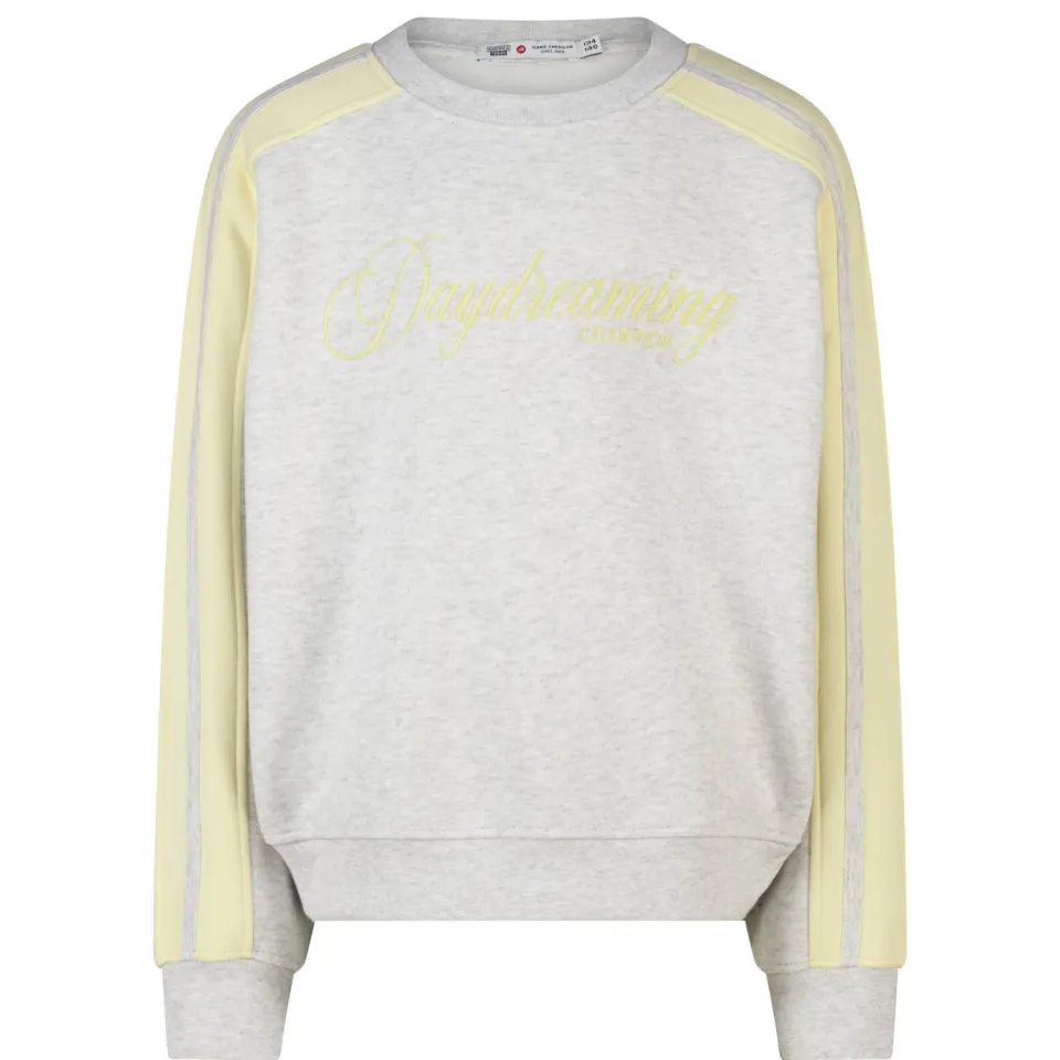 America Today sweater met tekst - grijs/geel, foto 2